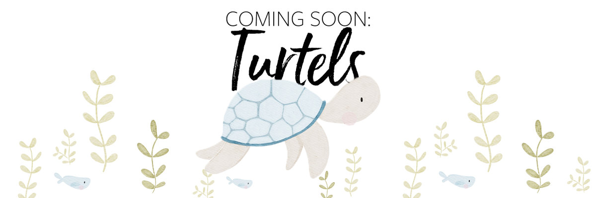 Coming soon: TURTLES - Coming soon: TURTLES