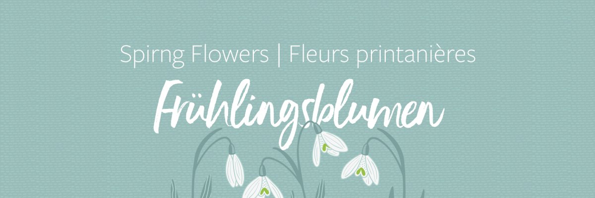 Frühlingsblumen - Stoffonkel Bio-Jerseys mit Frühlingsblumen