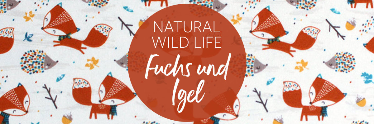Natural Wild Life: FUCHS UND IGEL - Natural Wild Life: FUCHS UND IGEL