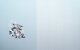 Organic jersey Racoons Panel gletscher