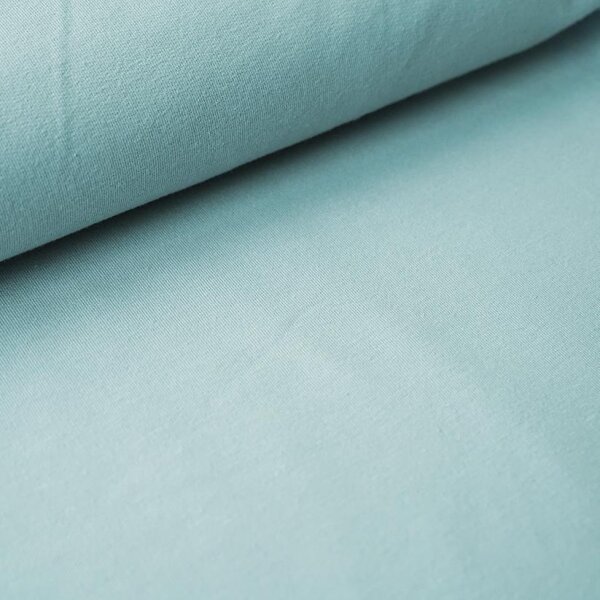 Organic jersey plain dyed hellblau