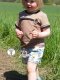 Tissue jersey organique Matrosen