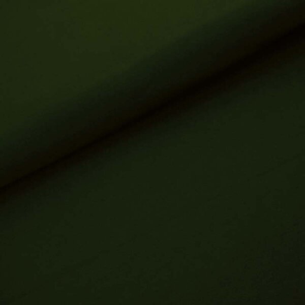 Organic cotton jersey plain dyed waldgrün