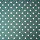 Tissue jersey organique Pretty Woman staubgrün