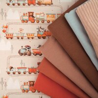 Tissue jersey organique Abenteuer auf Gleisen