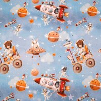 Tissue jersey organique Weltall