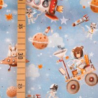 Tissue jersey organique Weltall