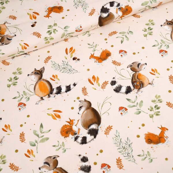 Tissue jersey organique Fridolin und seine Freunde