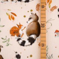 Tissue jersey organique Fridolin und seine Freunde